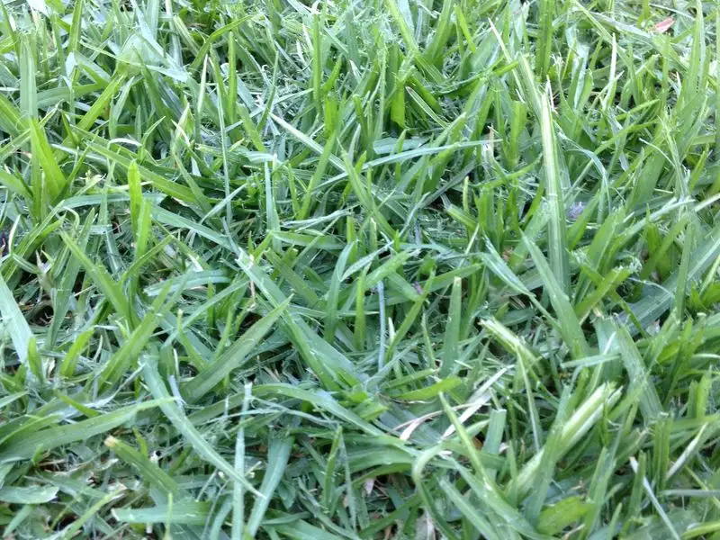 Main view of Homely land listing, LOT 664 Eros Crescent, Cranbourne West VIC 3977