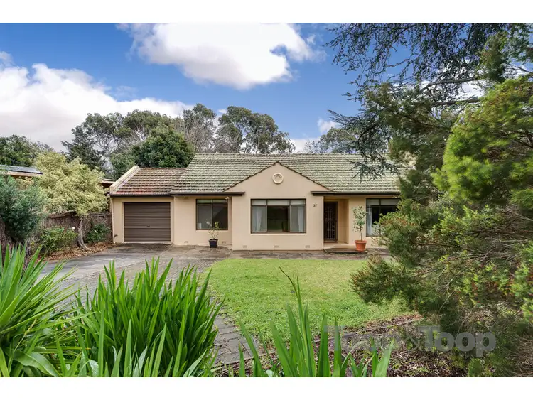 37 Yeltana Avenue, Wattle Park SA 5066