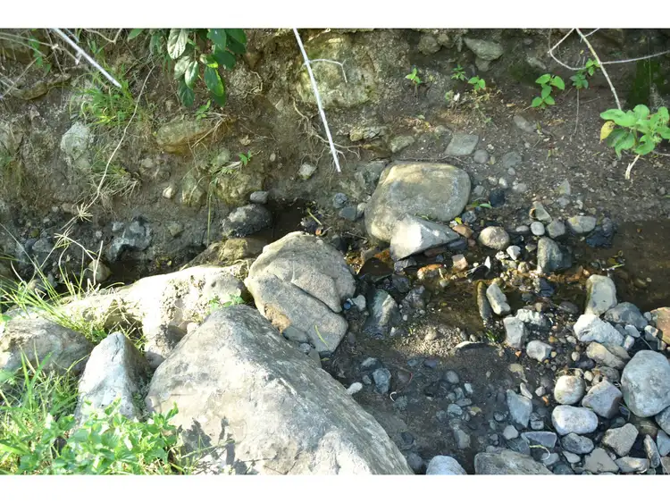 Fourth view of Homely rural property listing, 165 & Lot 298 Lefthand Branch Road, Lefthand Branch QLD 4343