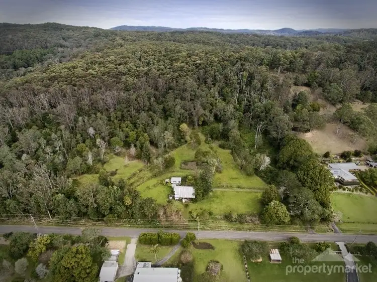 Fourth view of Homely rural property listing, 81 Peach Orchard Road, Ourimbah NSW 2258