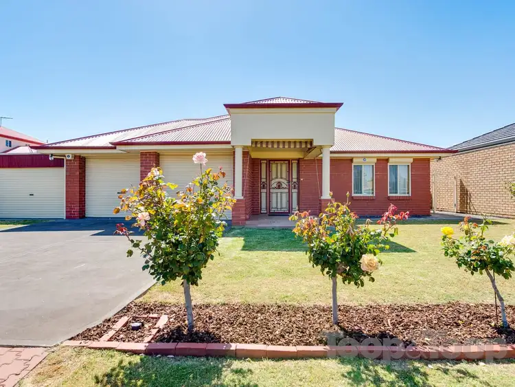 20 Westbrook Terrace, Northgate SA 5085