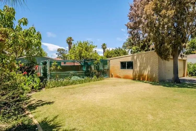 Fifth view of Homely house listing, 12 Manbari Crescent, Wanneroo WA 6065