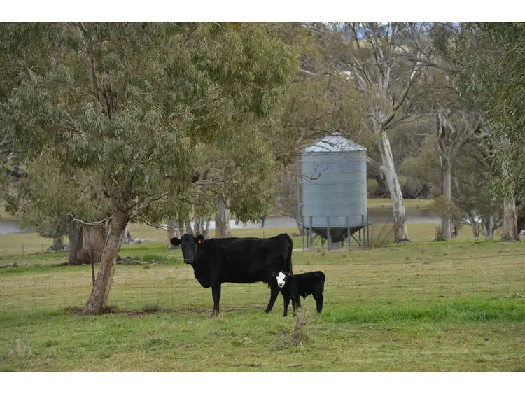 Sixth view of Homely rural property listing, 'Spring Farm' 37 Curtin Road, Orange NSW 2800