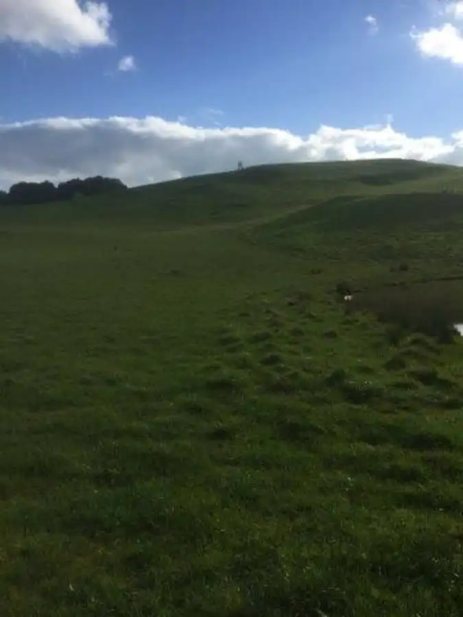 Second view of Homely rural property listing, Tarrenlea Road, Coleraine VIC 3315