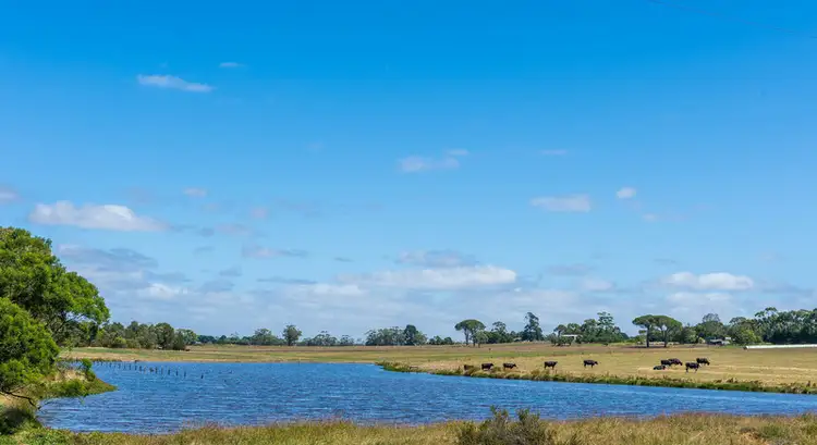 Sixth view of Homely rural property listing, 765 Tomahawk Creek Road, Irrewillipe VIC 3249