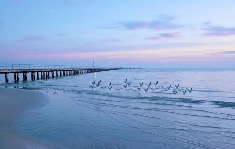 Third view of Homely land listing, 8 Valley Drive, Rye VIC 3941