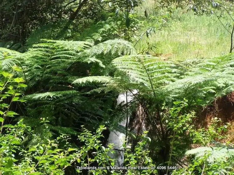 Fourth view of Homely rural property listing, LS350/100 Arthur Baillie Road, Ravenshoe QLD 4888