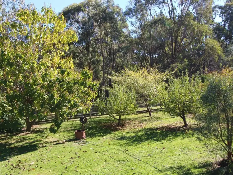 Sixth view of Homely rural property listing, Address available on request