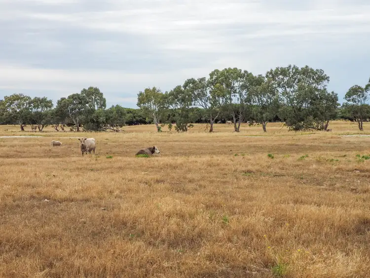 Sixth view of Homely rural property listing, LOT 2, 323 Kellidie Bay Road, Kellidie Bay SA 5607
