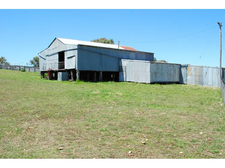 Third view of Homely rural property listing, 'Tolga' Tolga Road, Mumbil NSW 2820