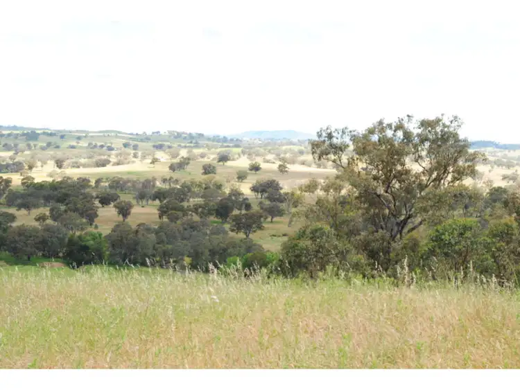 Fifth view of Homely rural property listing, 5553 Burrendong Way, Stuart Town NSW 2820