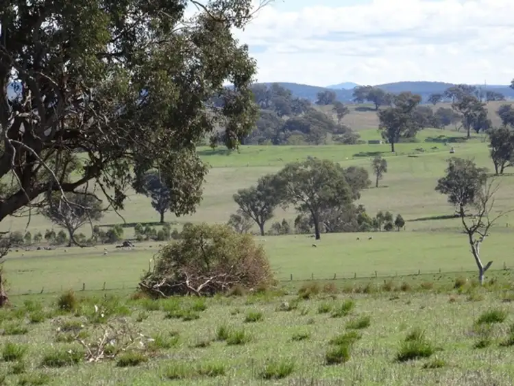 Second view of Homely rural property listing, 2474 Mitchell Highway, Molong NSW 2866