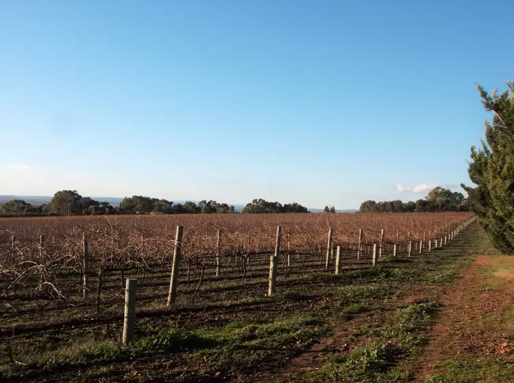 Seventh view of Homely rural property listing, 151 Culley Road, Sellicks Hill SA 5174