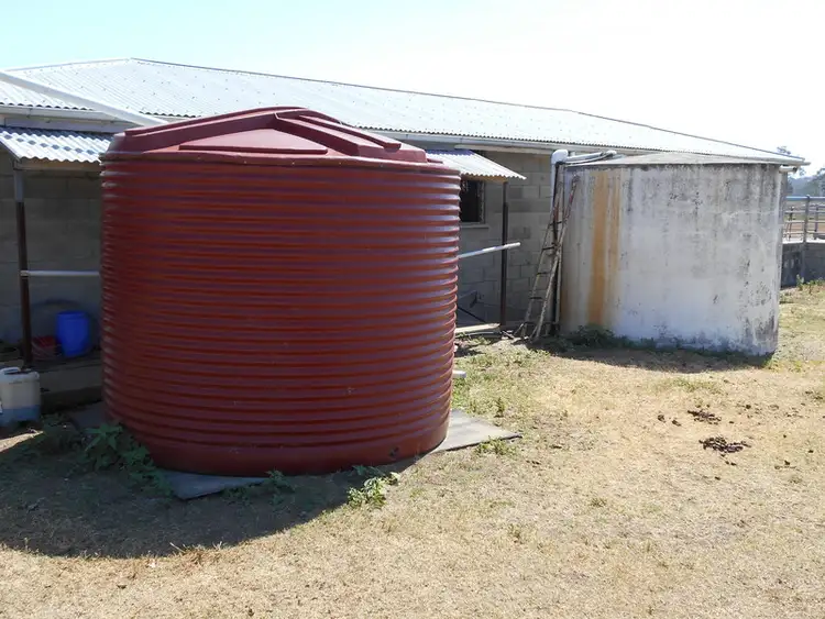 Seventh view of Homely rural property listing, 2765 Leyburn Cunningham Road, Pratten QLD 4370