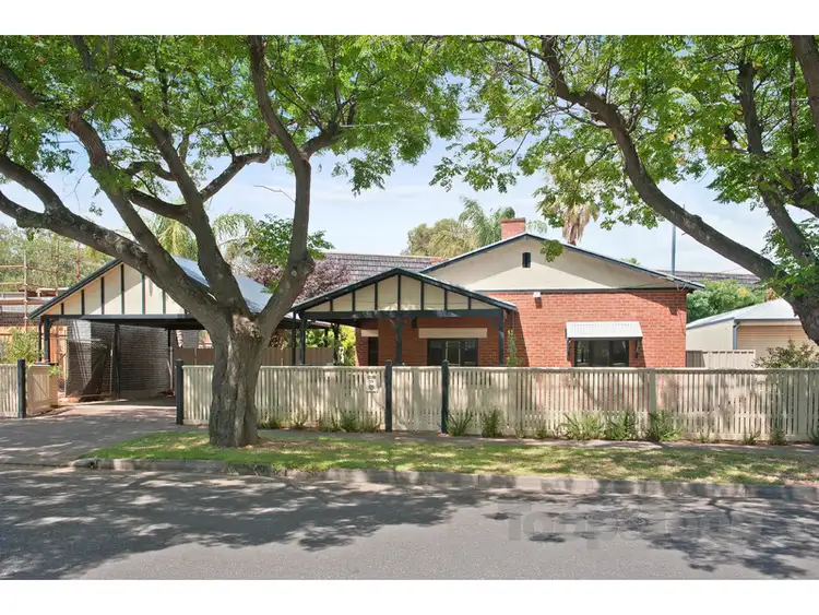 19 D'Erlanger Avenue, Collinswood SA 5081