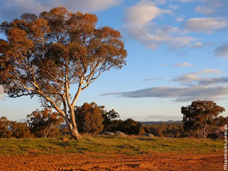 Third view of Homely land listing, LOT 559, Stage Bradman Drive, Boorooma NSW 2650