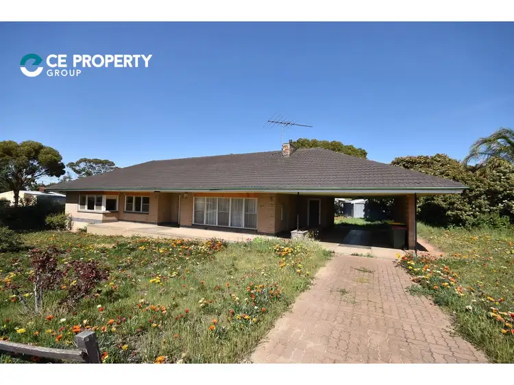 44 Sickerdick Street, Mannum SA 5238