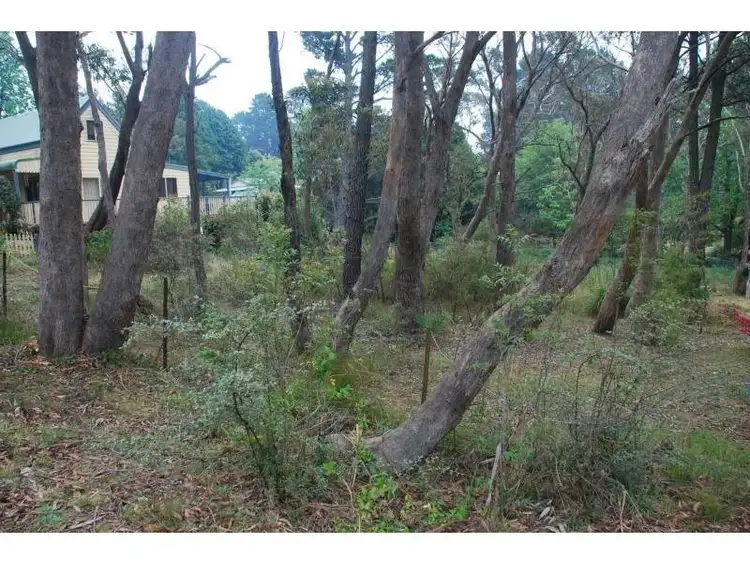 14 Minni Ha Ha Road, Katoomba NSW 2780