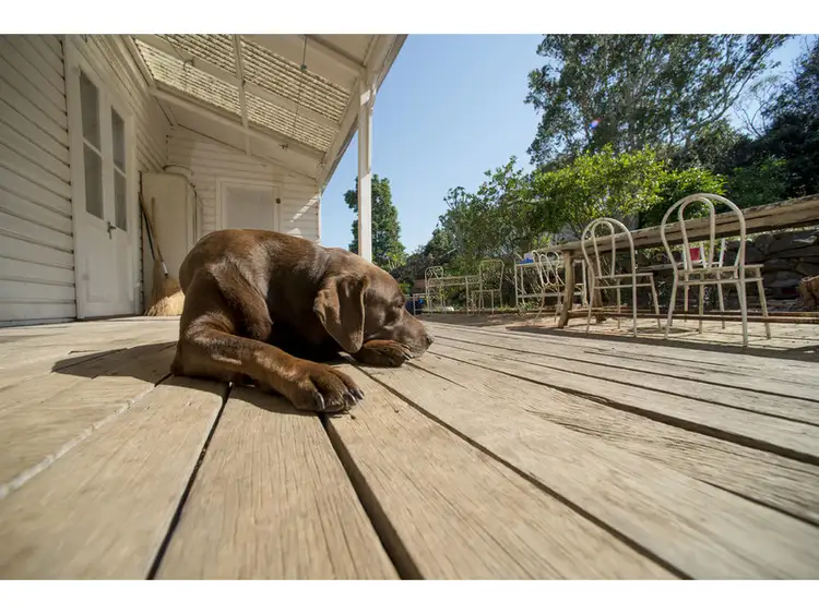 Third view of Homely rural property listing, 92 Phillips Road, Newrybar NSW 2479