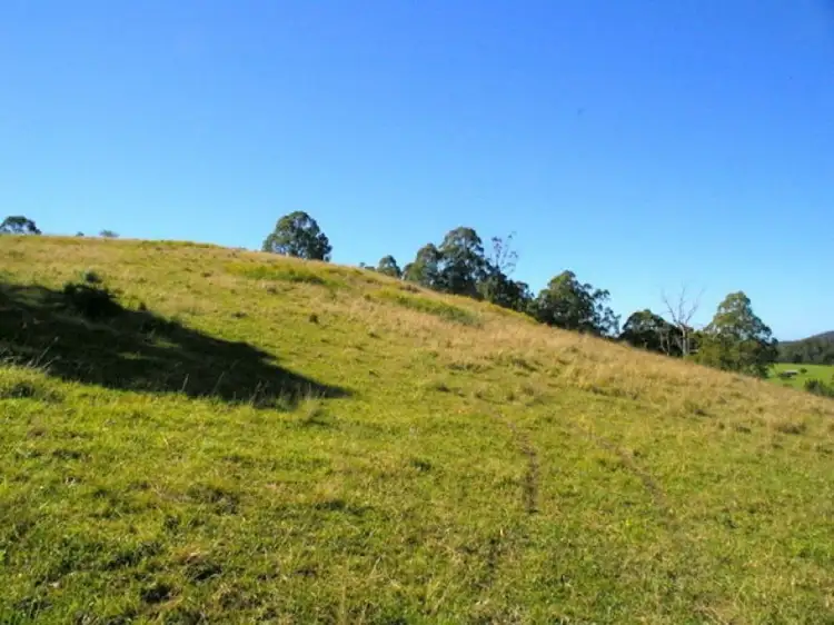 Fifth view of Homely rural property listing, Lot 2 Oxley Highway, Long Flat NSW 2446
