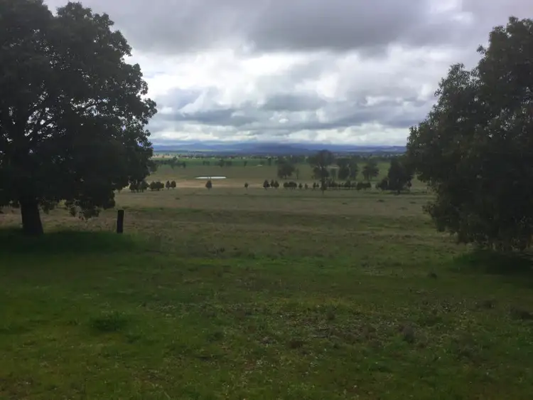 Main view of Homely rural property listing, - 'Box Field Park' Loch Lomond Road, Gooloogong NSW 2805