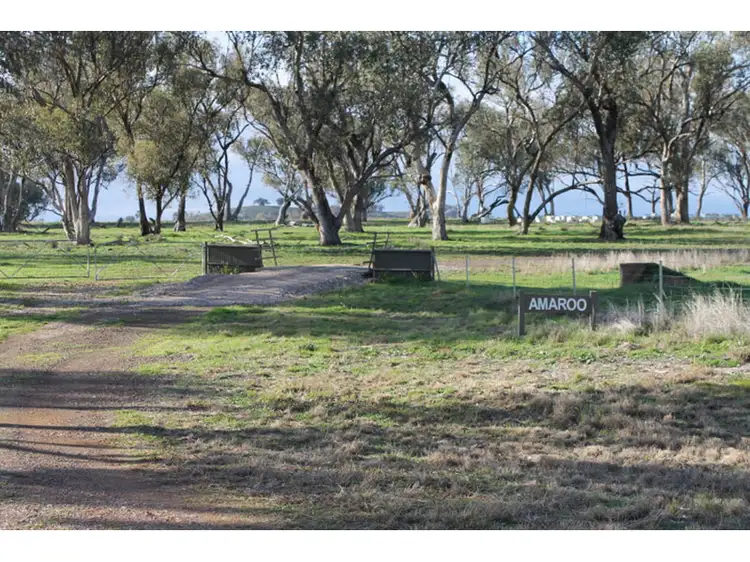 Main view of Homely rural property listing, 'Amaroo' 324 Dripstone Road, Neurea NSW 2820