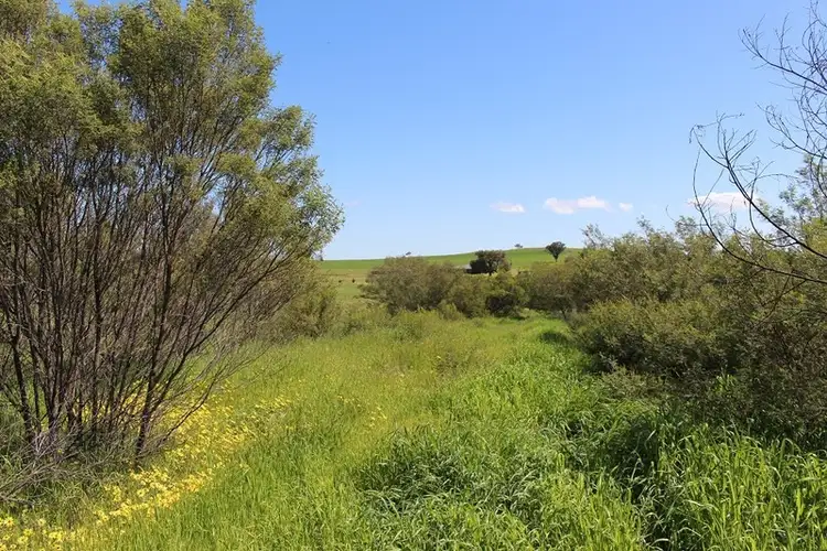 Fifth view of Homely land listing, 1 Nancye Place, Forbes NSW 2871