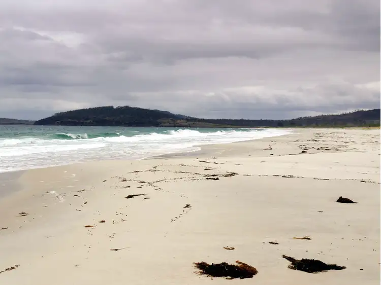 Second view of Homely rural property listing, Tasman Highway, Little Swanport TAS 7190