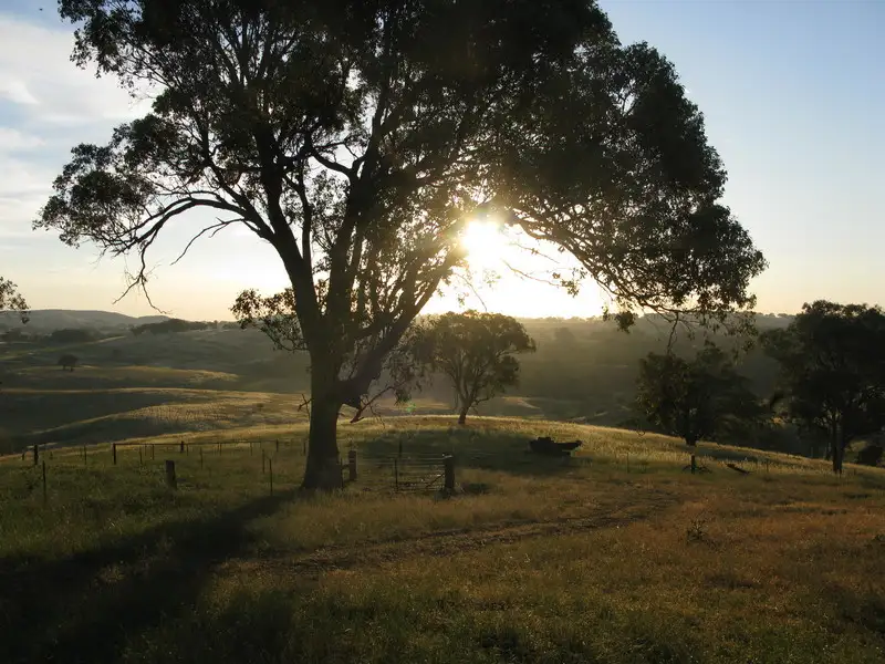 Main view of Homely rural property listing, 'Rosyth' The Escort Way, Orange NSW 2800