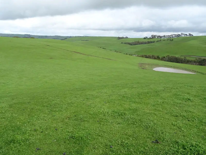 Main view of Homely rural property listing, McInnes Road, Coleraine VIC 3315