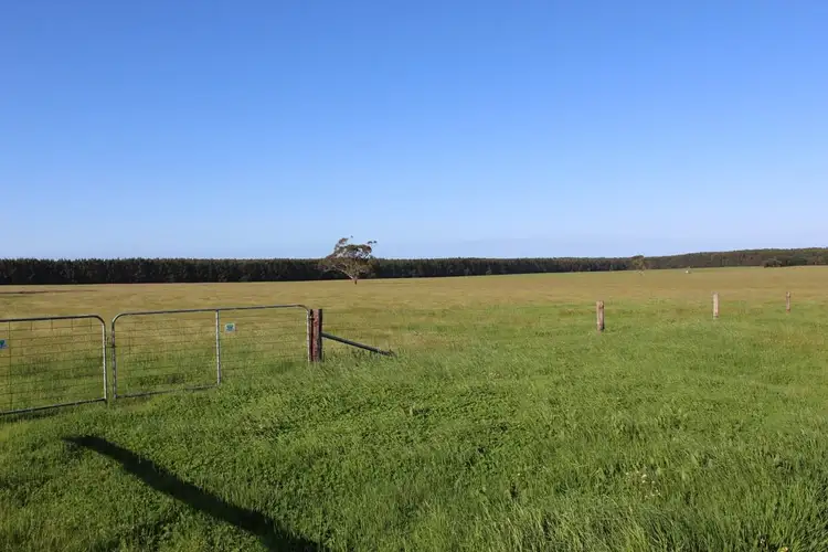 Fifth view of Homely rural property listing, Friends Road, Myamyn VIC 3304