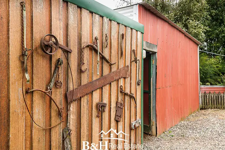 Seventh view of Homely rural property listing, 98 Lowries Road, Oldina TAS 7325