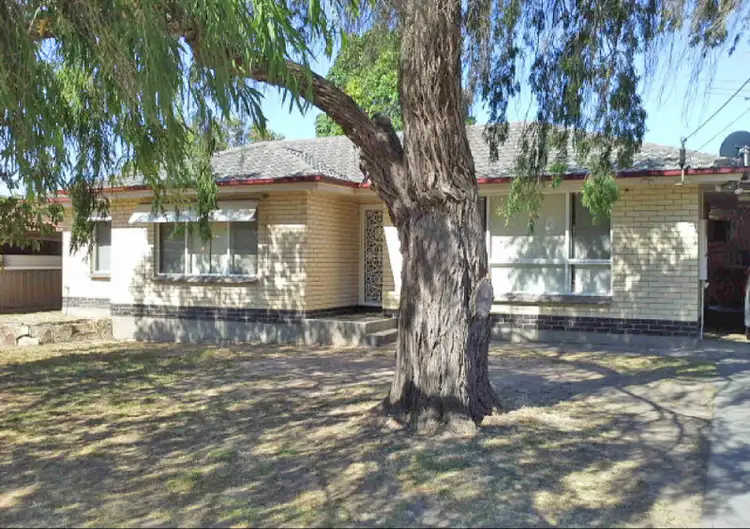 Main view of Homely house listing, 24 Warwick Grove, Morphett Vale SA 5162