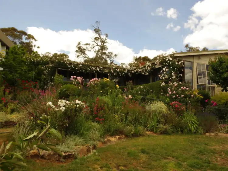 Main view of Homely house listing, 17 Headland Road, Anglers Reach NSW 2629