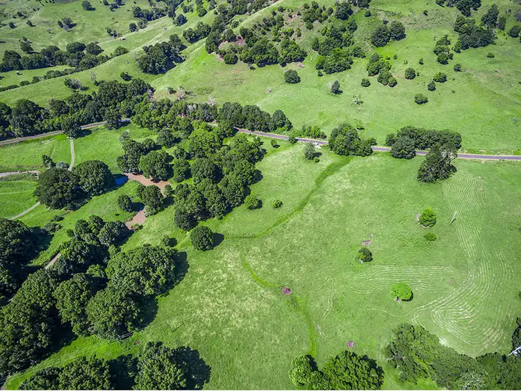 Sixth view of Homely rural property listing, 239 Tuntable Creek Road, The Channon NSW 2480