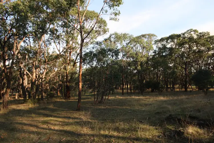 Fifth view of Homely land listing, Lot 4 Flagstaff Ridge Road, Linton VIC 3360