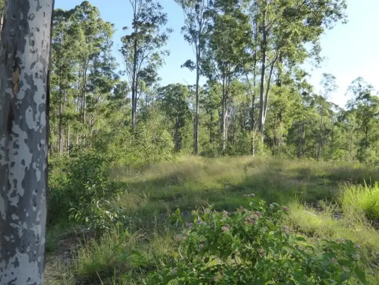 Fifth view of Homely rural property listing, 3264B Sextonville Road, Casino NSW 2470