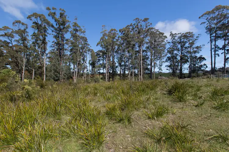 Third view of Homely land listing, 21 Dennison Close, Heybridge TAS 7316