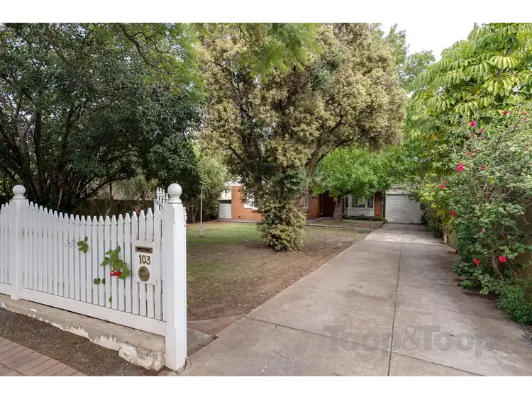 Main view of Homely house listing, 103 Allinga Avenue, Glenunga SA 5064