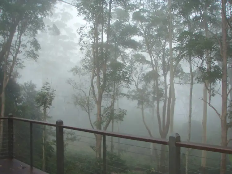 Sixth view of Homely house listing, 462 MAIN WESTERN RD, Tamborine Mountain QLD 4272