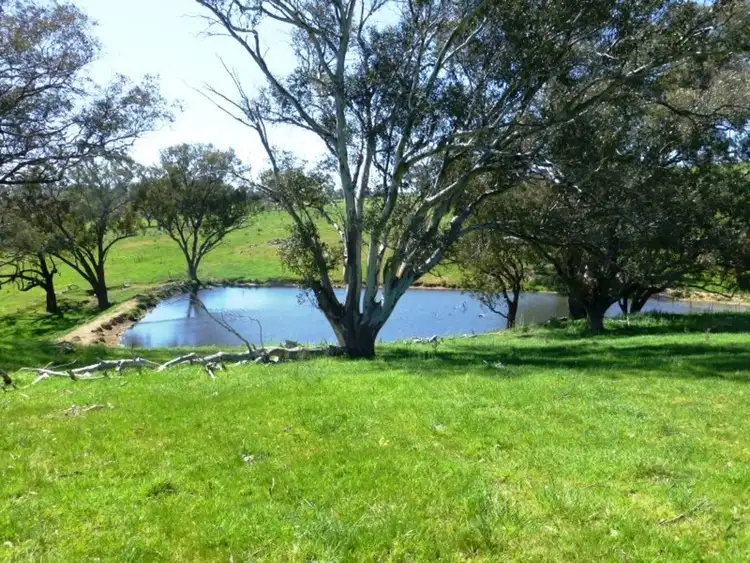 Second view of Homely rural property listing, 1039 Mitchell Highway, Orange NSW 2800