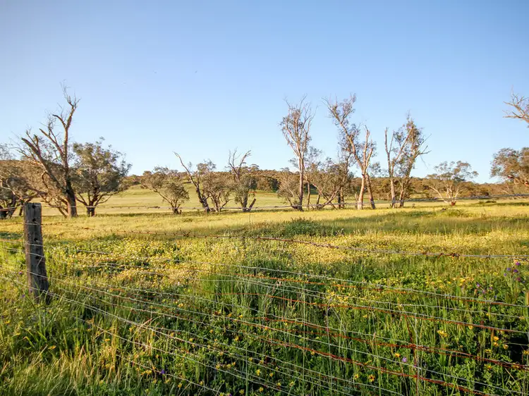 Second view of Homely rural property listing, 782 Bindi - Bindi Road, Coondle WA 6566