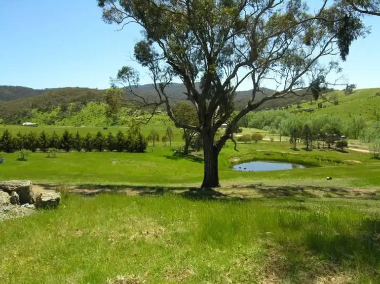 Third view of Homely rural property listing, 105 Star Of The Glen Road, Mansfield VIC 3722