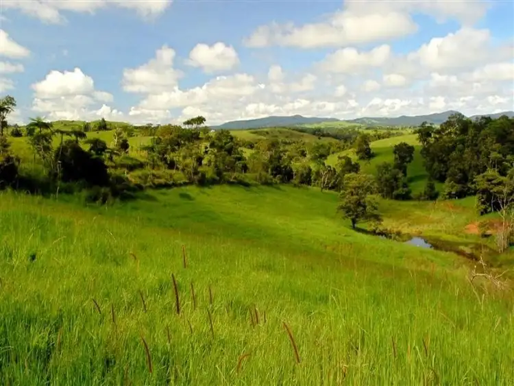 Second view of Homely rural property listing, LS236/Lot 1 Theresa Creek Road, Millaa Millaa QLD 4886