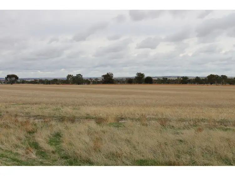 Sixth view of Homely rural property listing, 3311 Fiegert Road, Cunderdin WA 6407