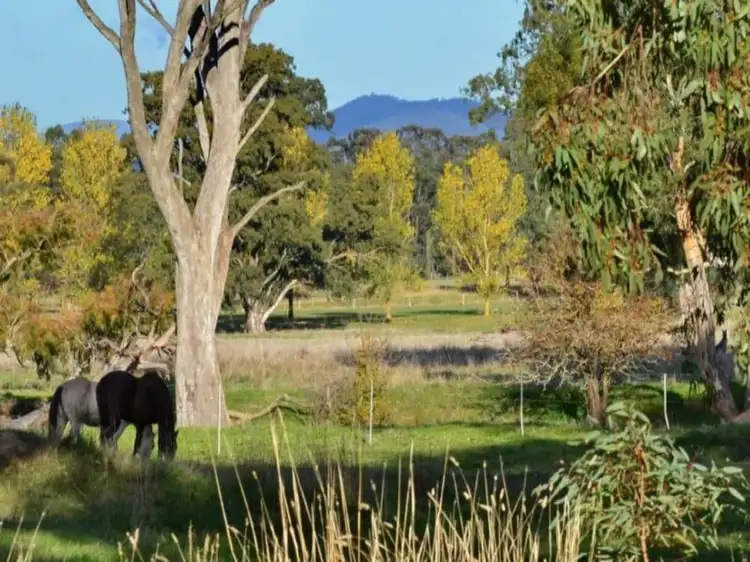 Third view of Homely house listing, 130 Walshs Road, Goughs Bay VIC 3723