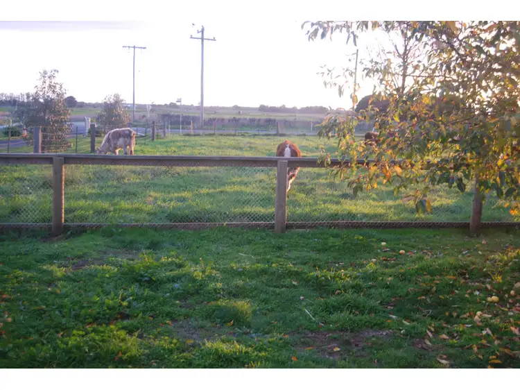 Fourth view of Homely rural property listing, 15 Melrose Road, Warrion VIC 3249