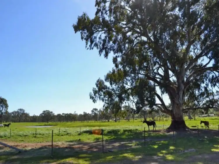Second view of Homely land listing, 117 Black Swamp Road, Maindample VIC 3723