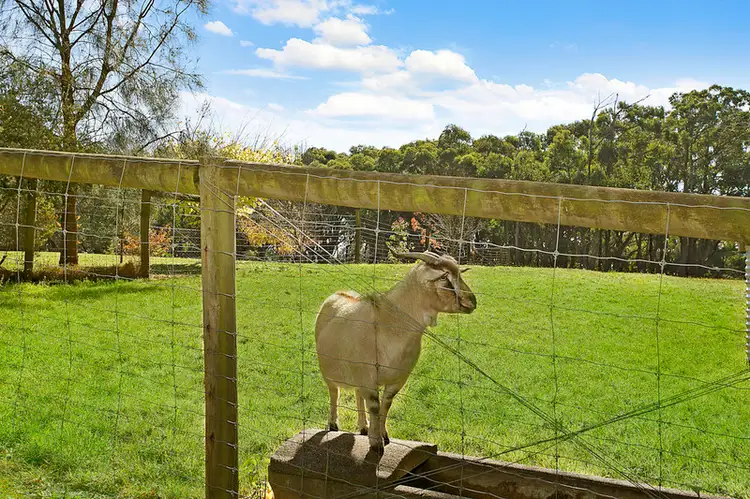 Fifth view of Homely house listing, 690 Melrose Road, Cooriemungle VIC 3268