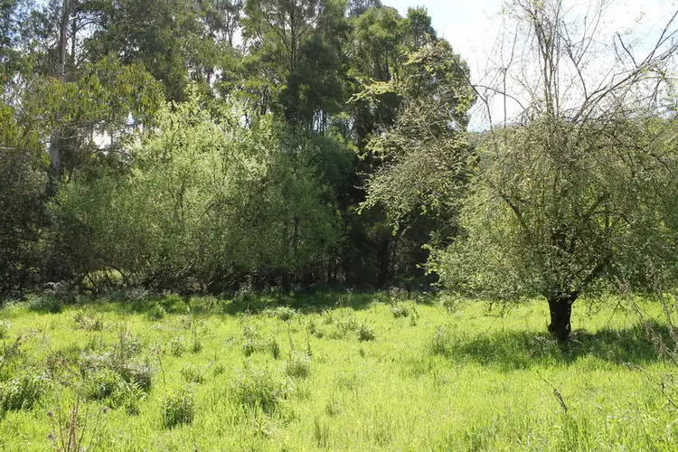 Fourth view of Homely rural property listing, 150 Jacksons Track, Gellibrand VIC 3239